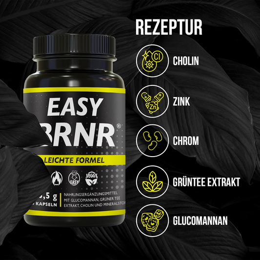 EASY BRNR Leichte Formel, 120 Kapseln