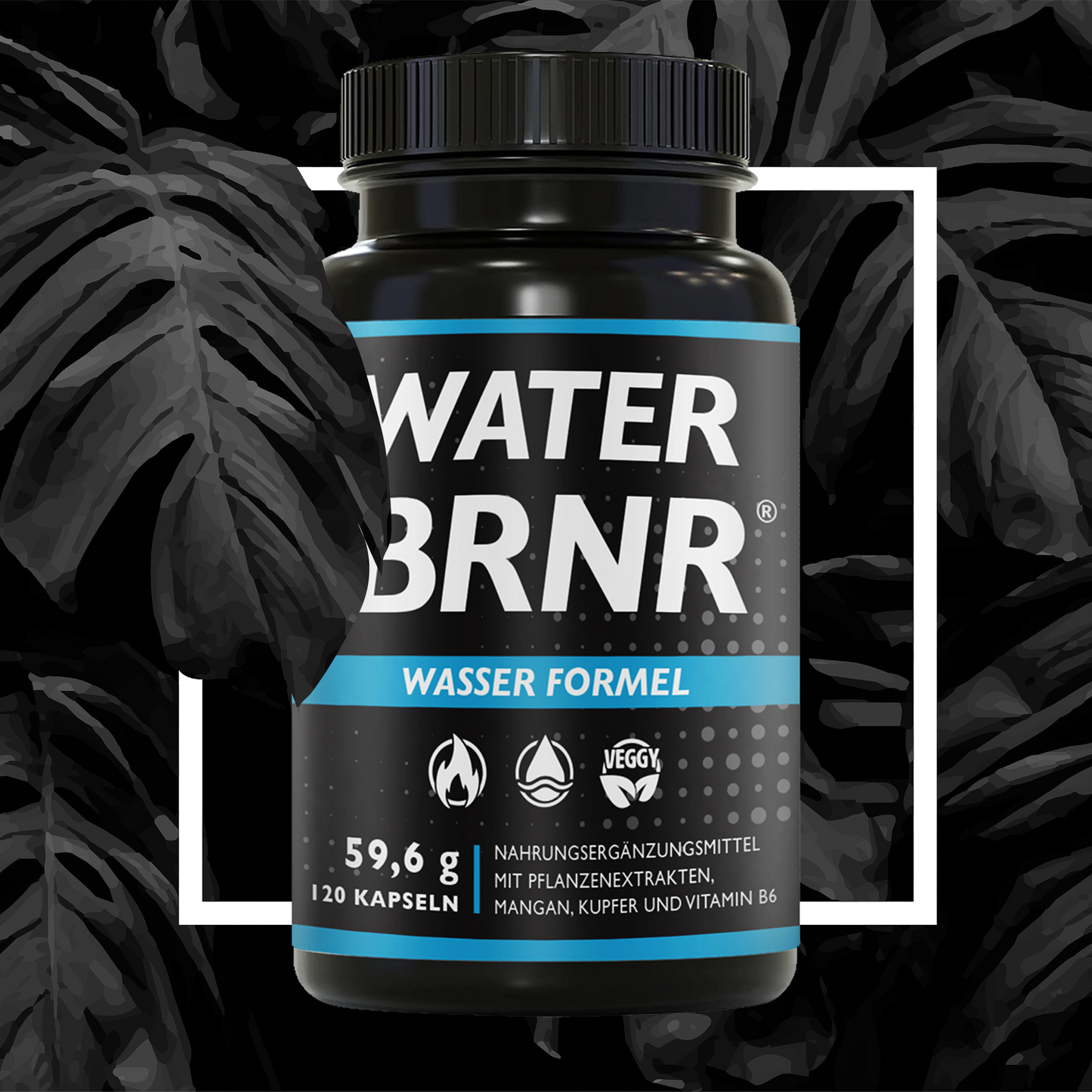 WATER BRNR Wasser Balance Kapseln, 120 Kapseln