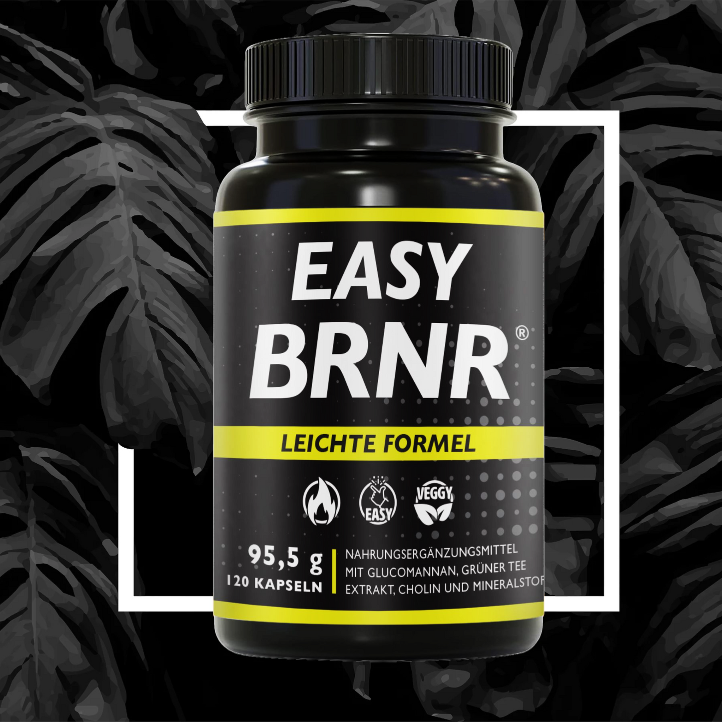 EASY BRNR Leichte Formel, 120 Kapseln