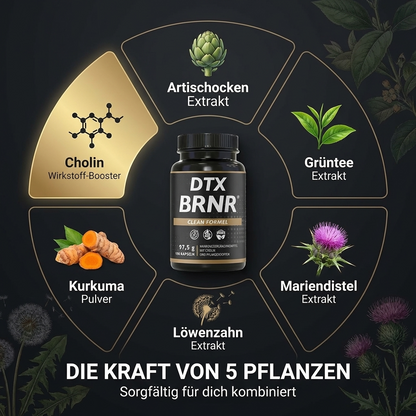 DTX BRNR Leber + Stoffwechsel Formel, 120 Kapseln