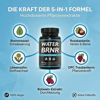 WATER BRNR Wasser Balance Kapseln, 120 Kapseln