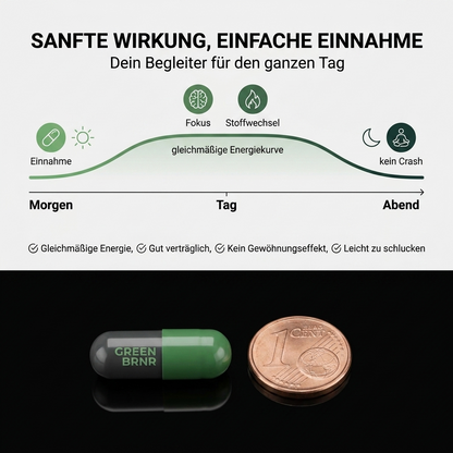 GREEN BRNR Grüntee Extrakt hochdosiert, 120 Kapseln
