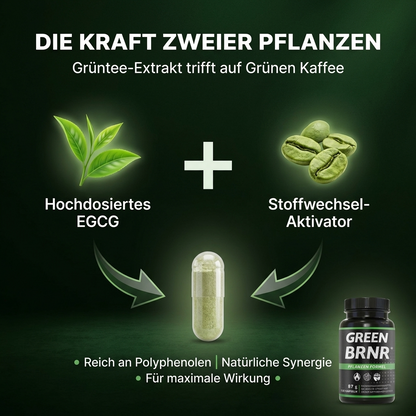 GREEN BRNR Grüntee Extrakt hochdosiert, 120 Kapseln